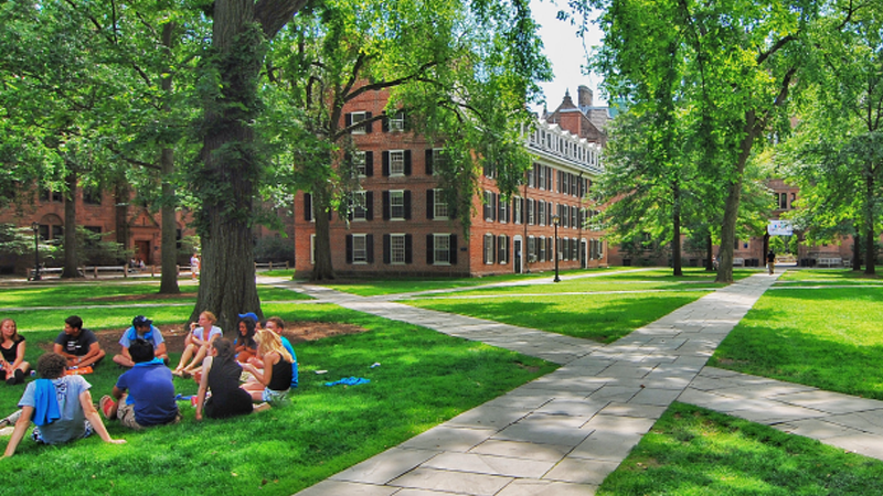 campus quad