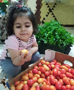 An infant girl picks a single tomato from a large box in front of her