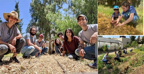 Photo collage of young Palestinian farmers