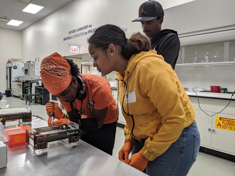 Chicago State University students will play an active role in experiment design, labwork, and analyses. The student cohort will also participate in weekly professional development meetings for advancing their careers in STEM.