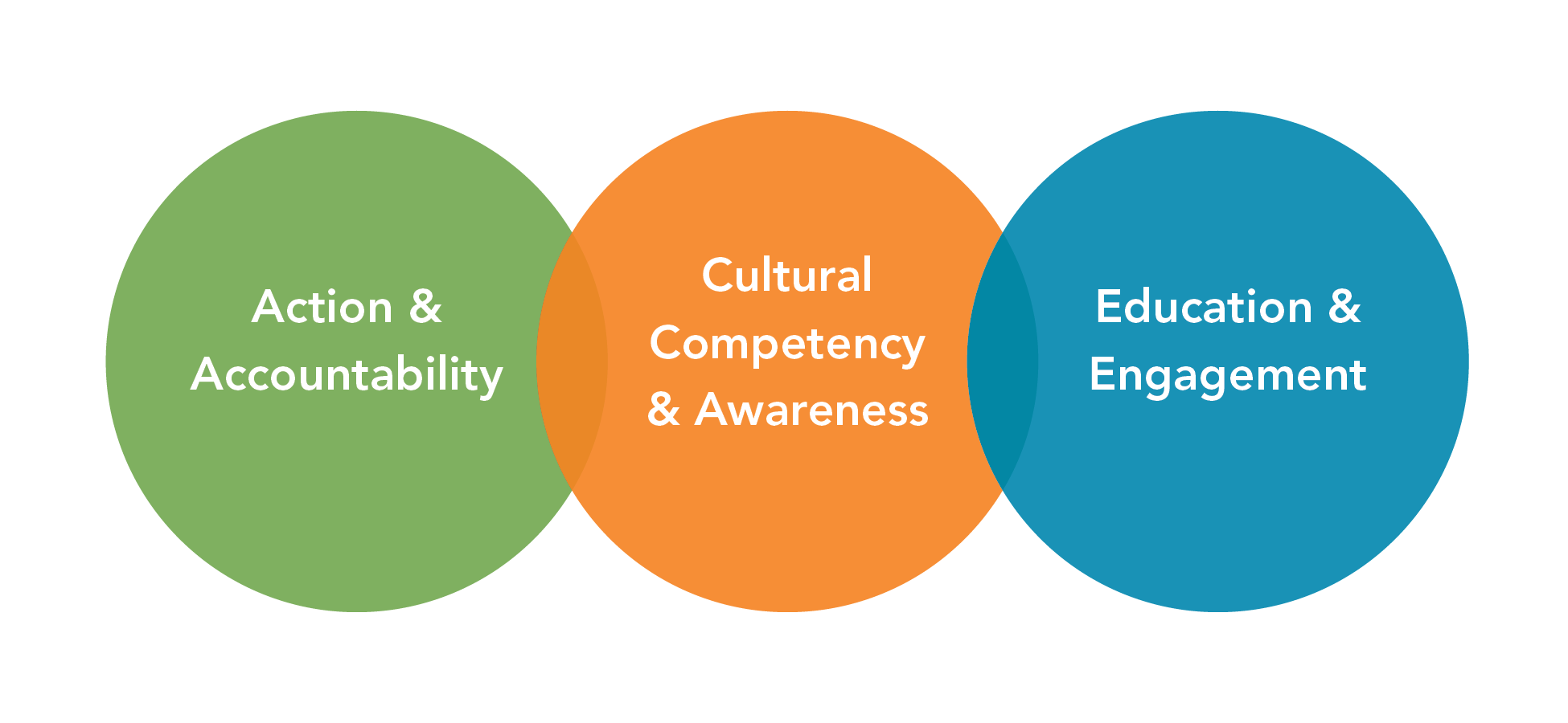 Three interlocking circles with "Action & Accountability; Cultural Competency & Awareness; and Education & Engagement" written inside them.