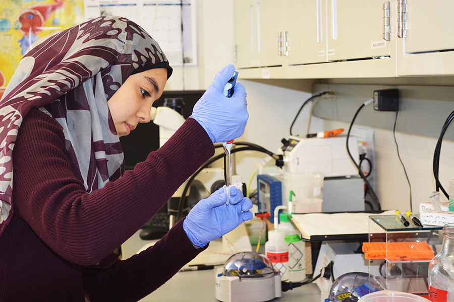 HEI STEM Scholar Marwa Mohamed