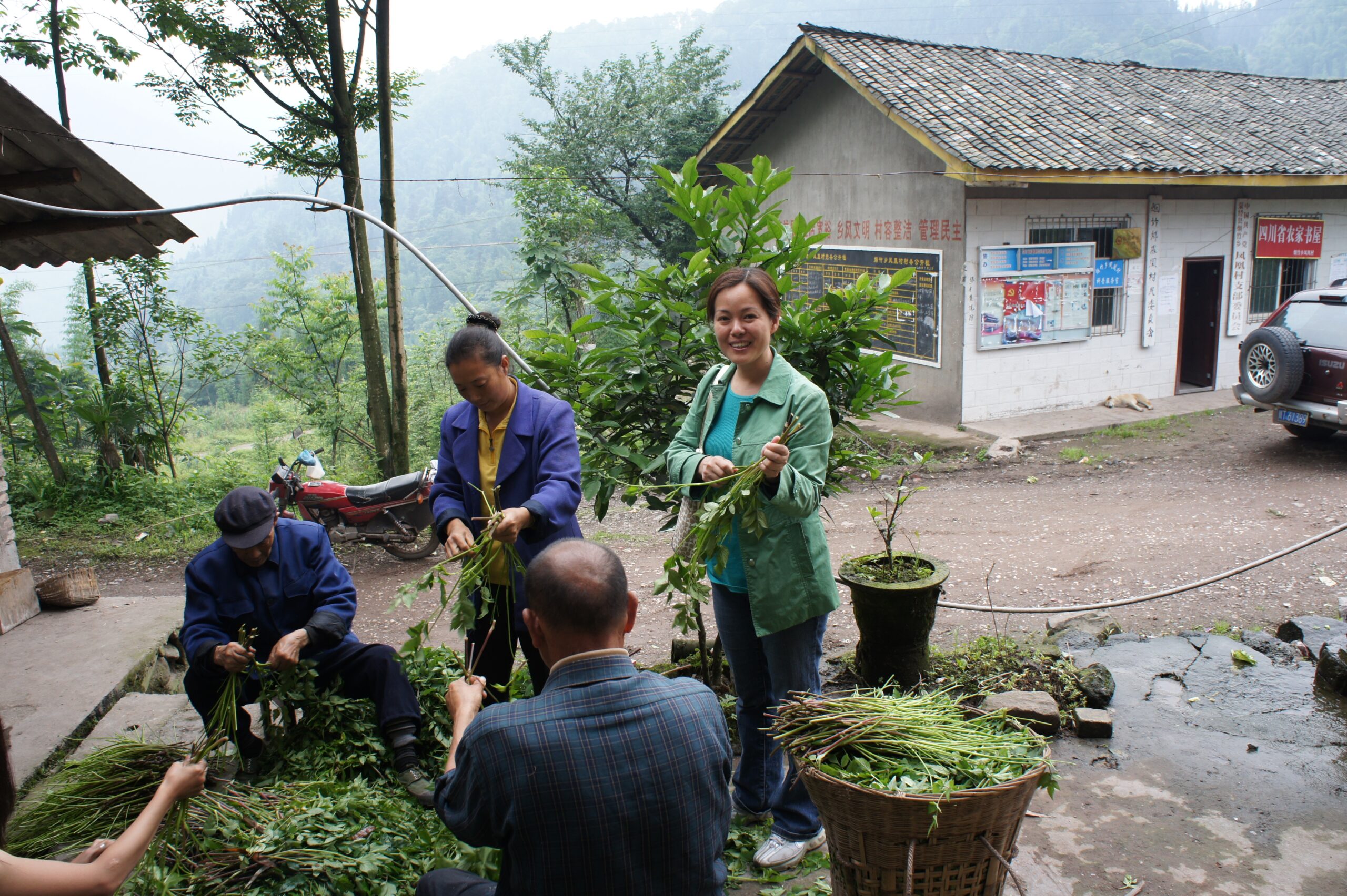 IFP Alumni in China 