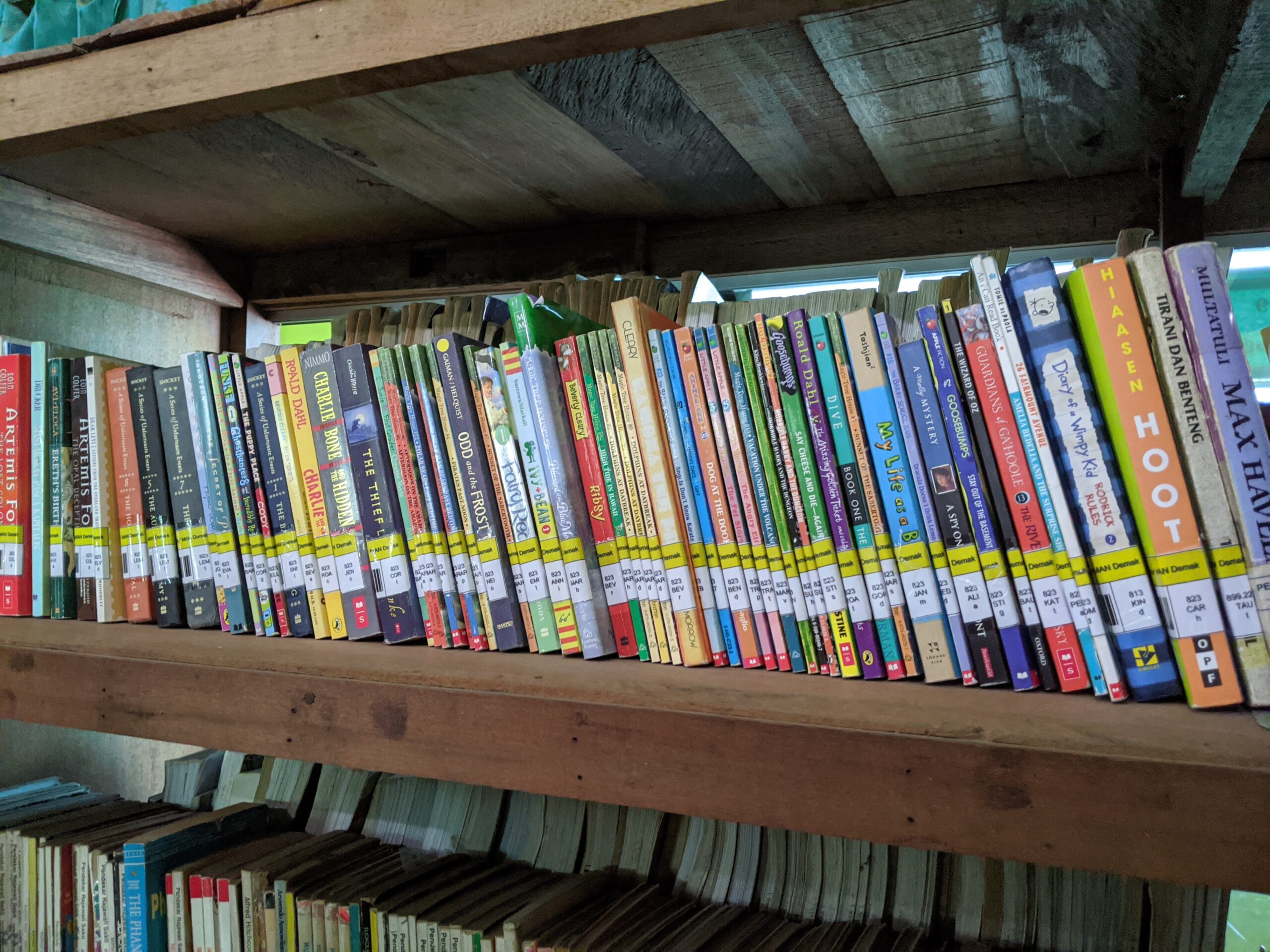 Books on a library shelf