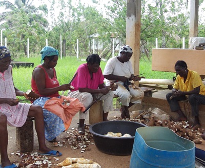 Garifuna Women in Honduras Peeling Cassava (Punta Piedra, Honduras)