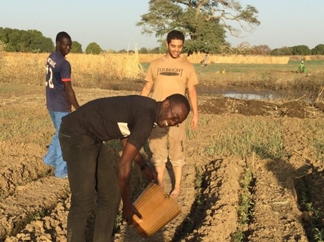 This is Samy Bendjemil and Moumini, during his Fulbright in our rural community. We visited a tomato garden of one of our club members, and we helped watering the young tomato plants.