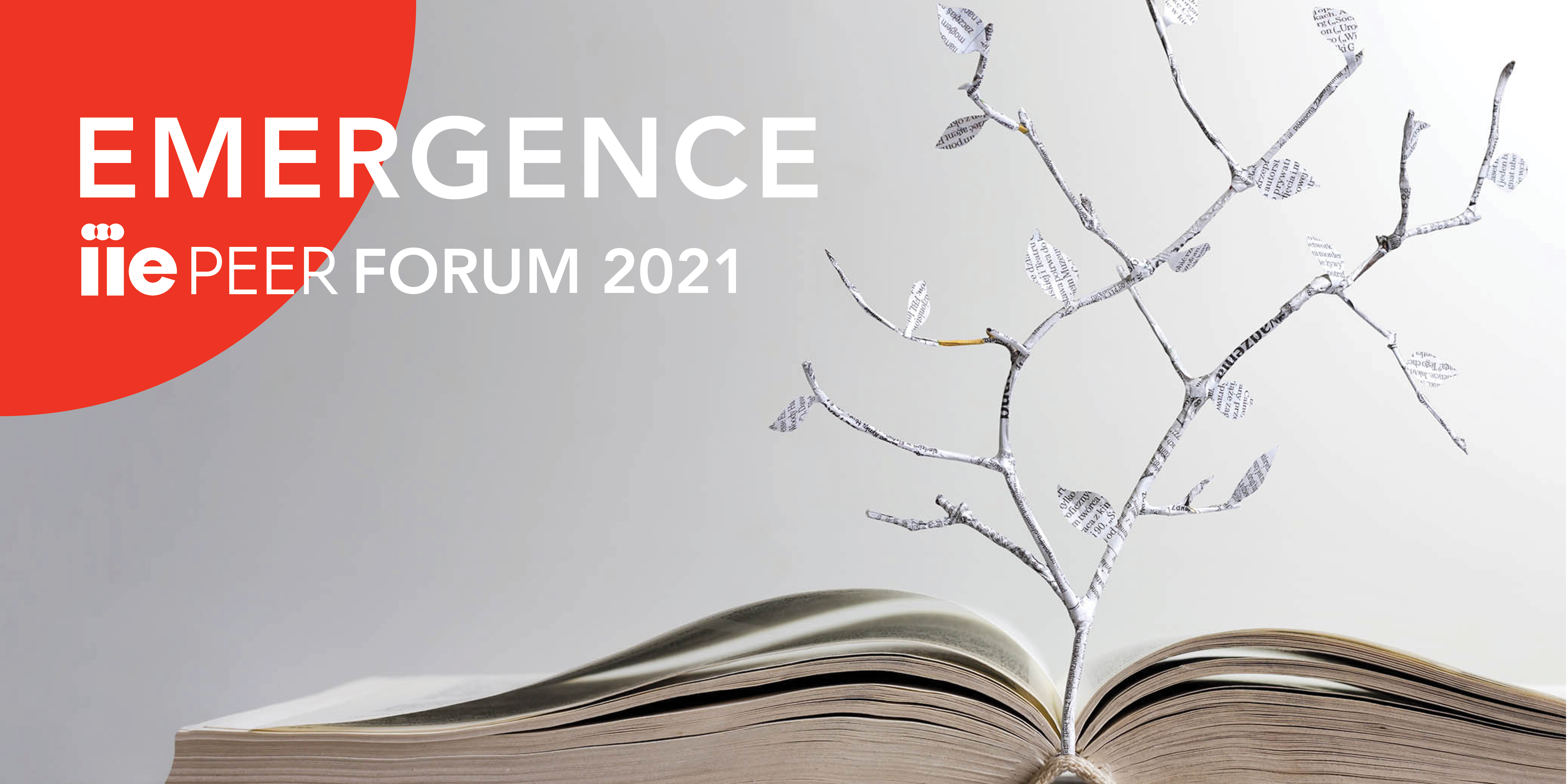 Hero image showing an open book with a  tree growing out of it. Test reads, "EMERGENCE: IIE PEER Forum 2021"