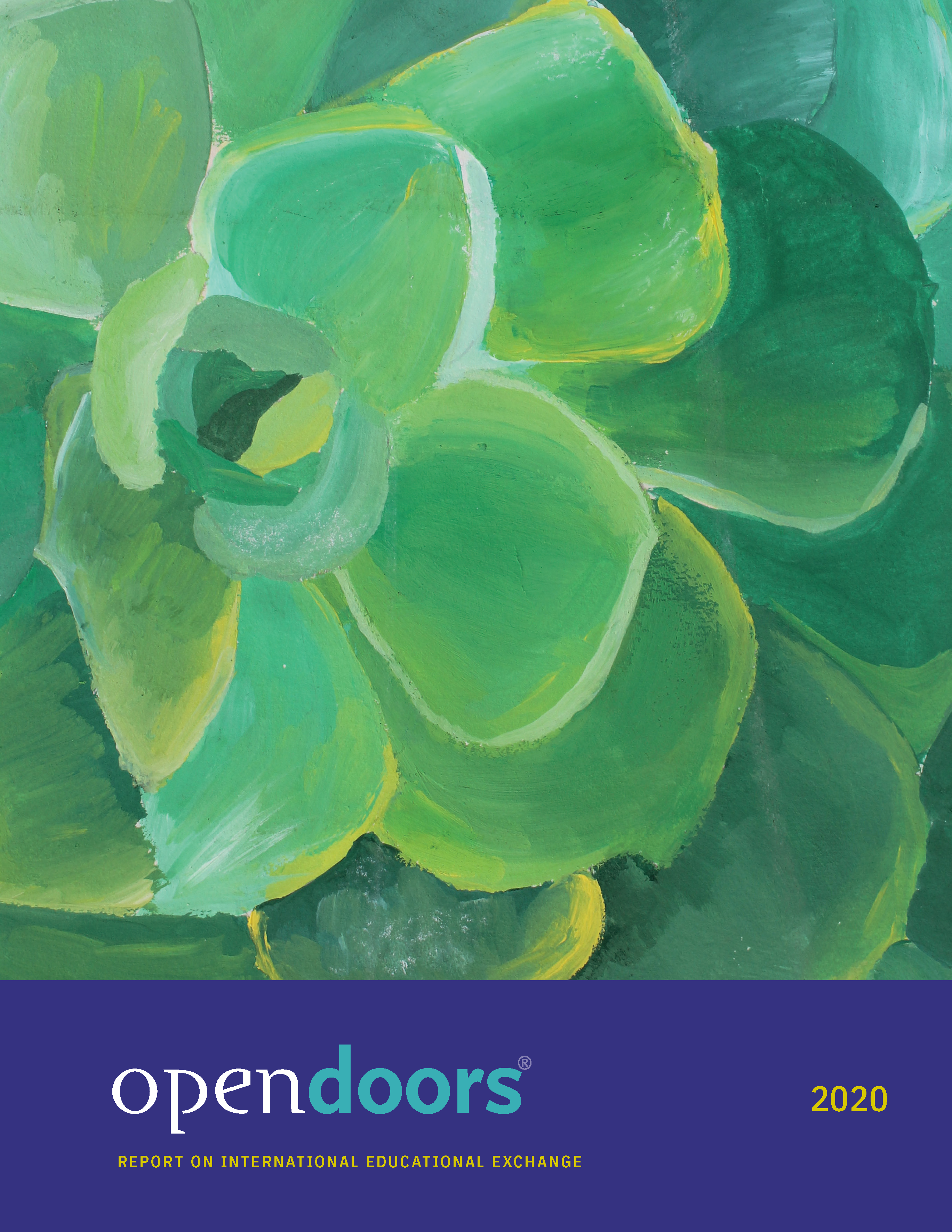 Open Doors 2020 book cover