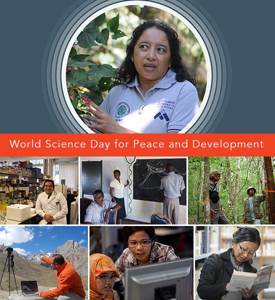 World Science Day for Peace and Development Collage. Images of IFP alumni engaging in scientific activities