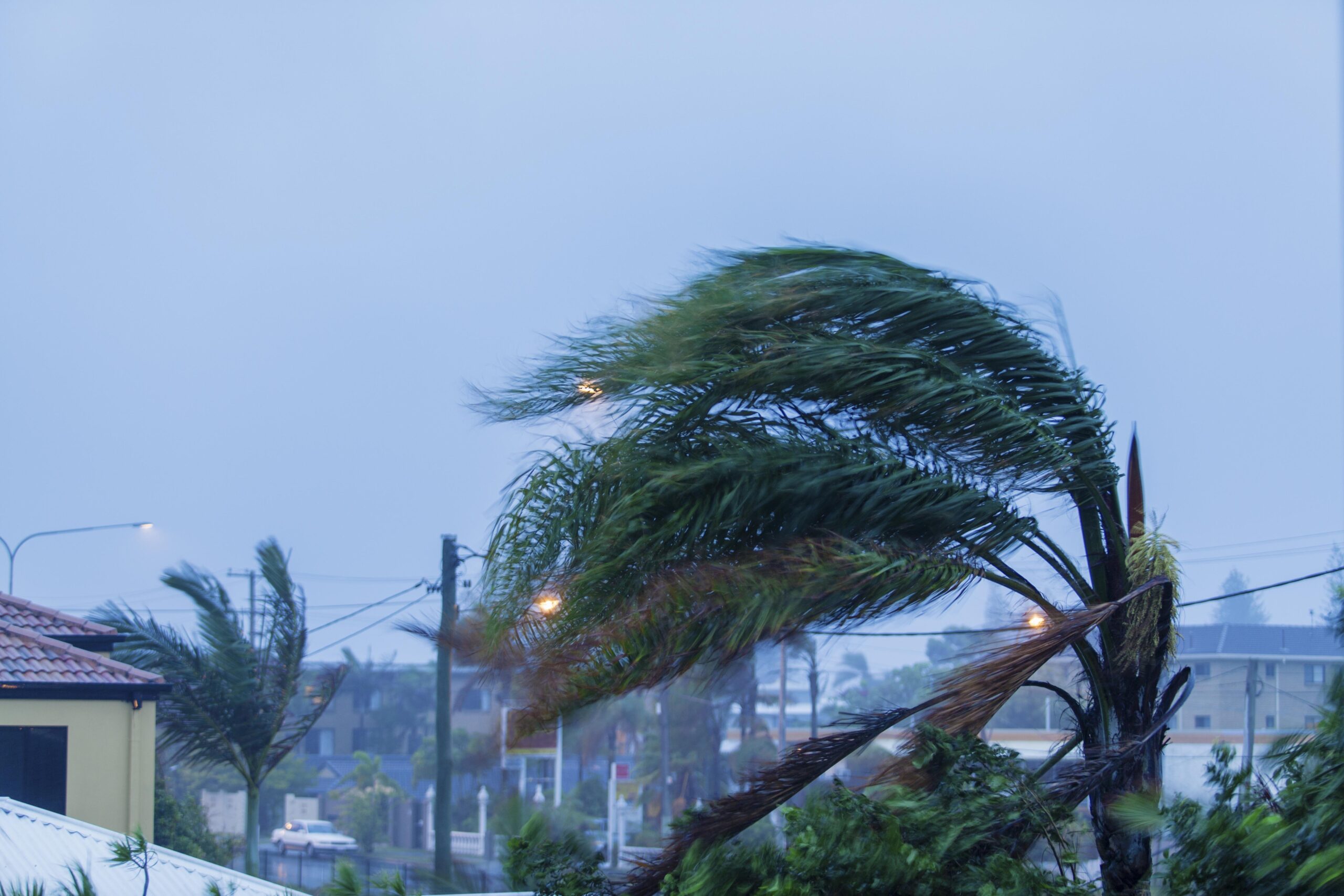 Image: Hurricane damage