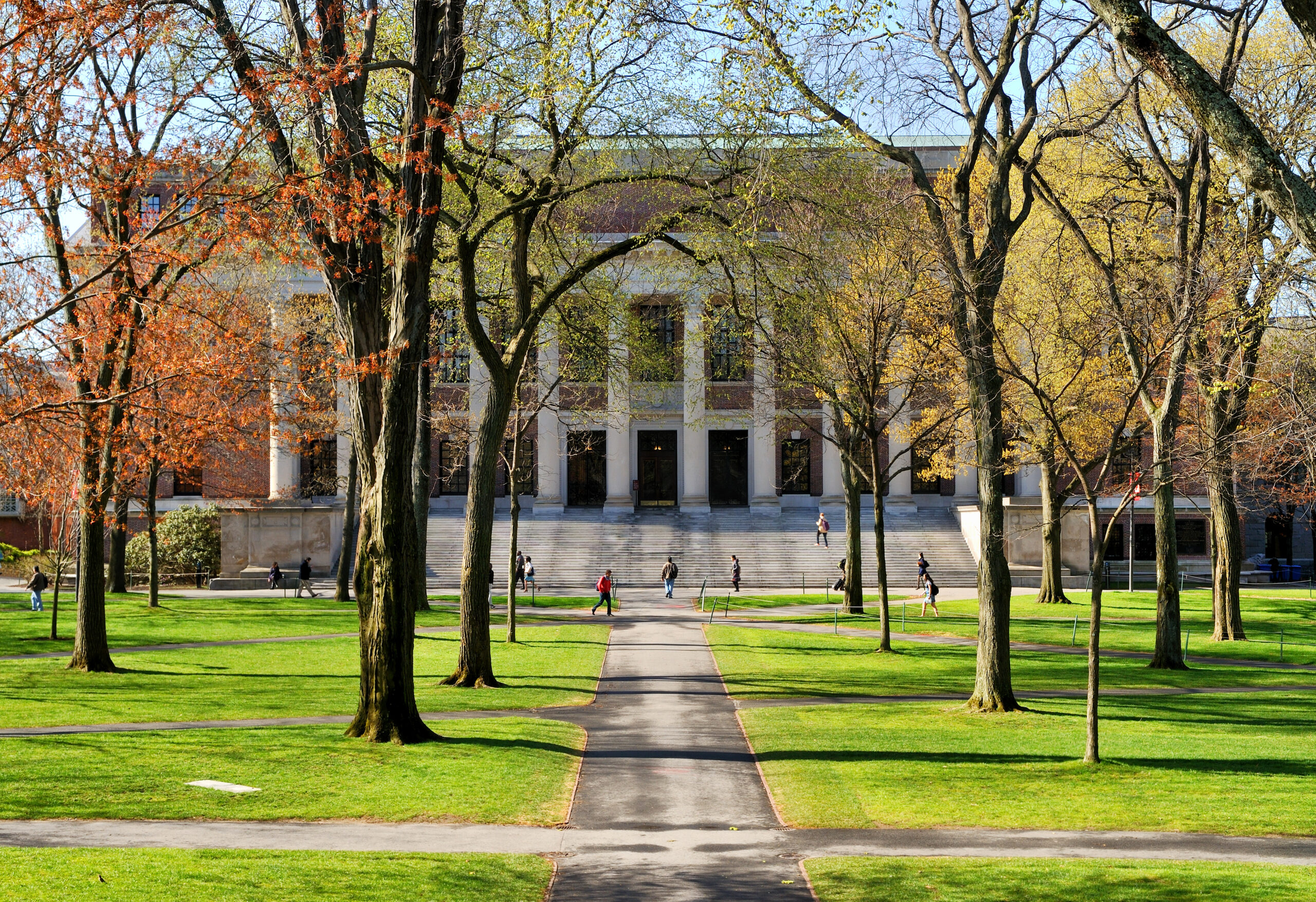a college campus in the spring