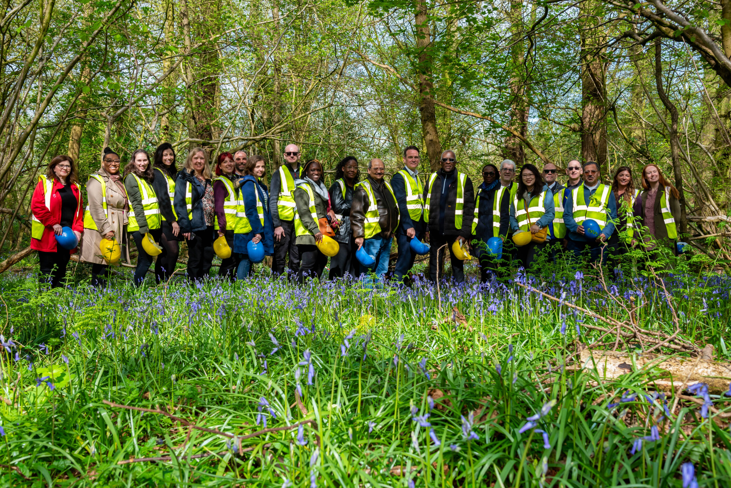 Group of BRIDGE participants